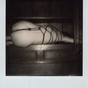 In the box